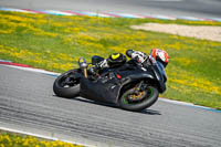 Brno;event-digital-images;motorbikes;no-limits;peter-wileman-photography;trackday;trackday-digital-images
